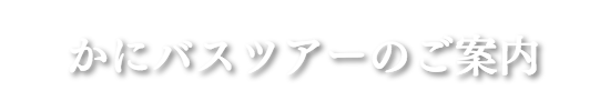 冬のコース